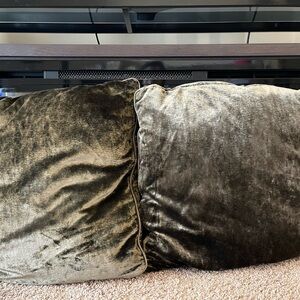 Two Matching Decor Pillows